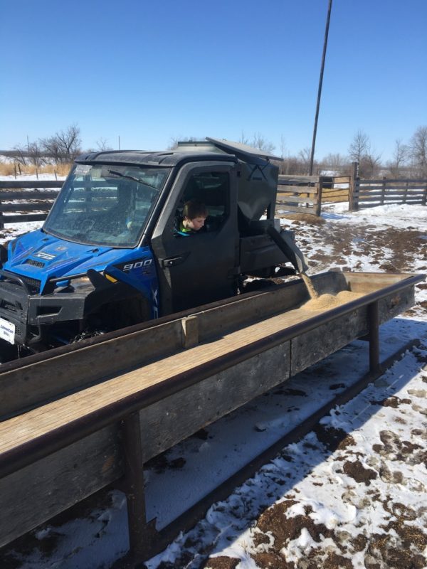 15 Bushel UTV Easy Feeder in Farm- LK
