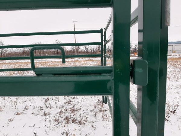 10ft Powder Coated Corral Panel in green color