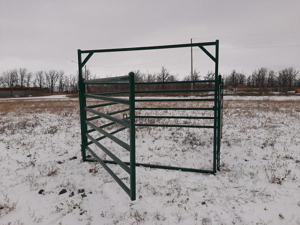 10ft Powder Coated Corral Panel in farm