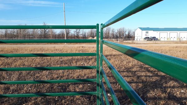 Lakeland- Premium Horse Pen Corral - Powder Coated Green