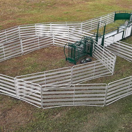 Sheep/Goat Handling System- SG300 Lakeland