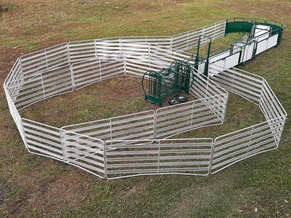 Sheep/Goat Handling System- SG300 Lakeland