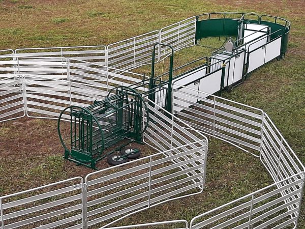 SG300- Sheep Handling System