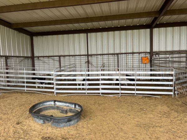 lakeland- Jgreene Easy Panel