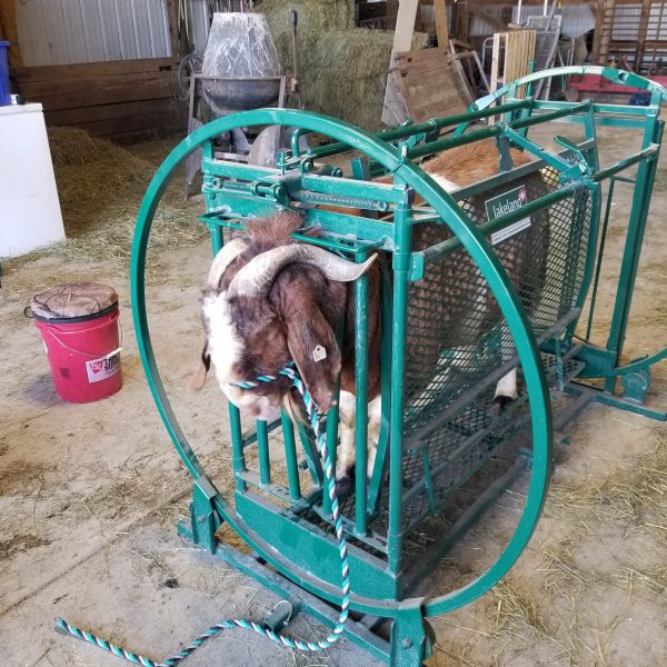 Spin Trim Chute in green color