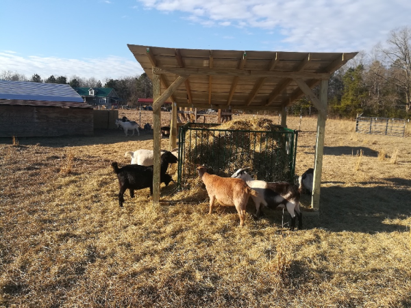 Lakeland-Collapsible Sheep & Goat Feeder - 3" spacing