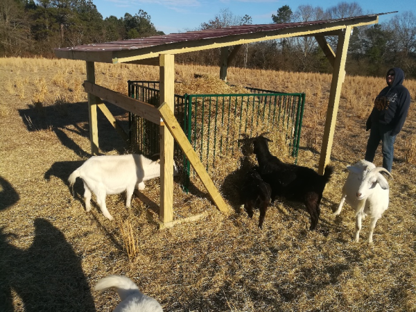 Lk-Collapsible Sheep & Goat Feeder - 3" spacing