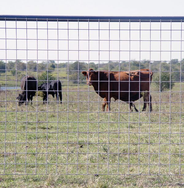 48 Wire Mesh