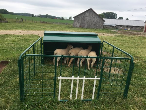 Lamb Creep Feeder- LK