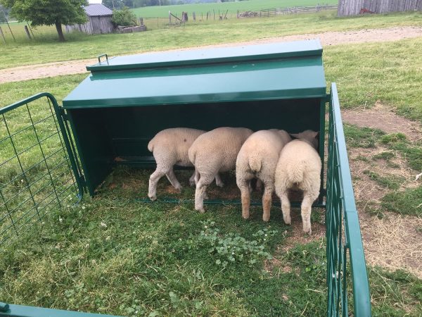 Lamb Creep Feeder by Lakeland