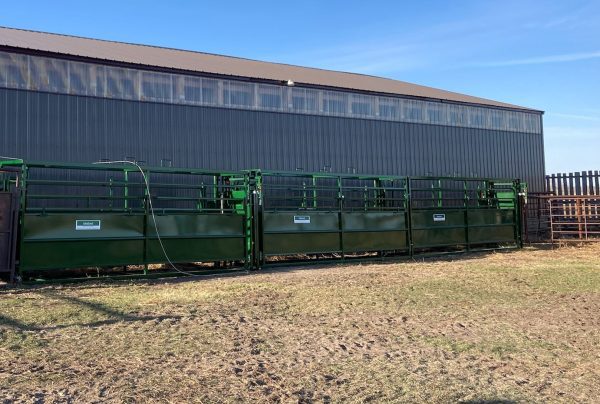 17ft Adjustable Alley Section in Green color