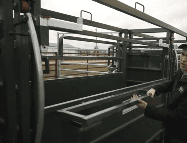 17ft Adjustable Alley Section- LK