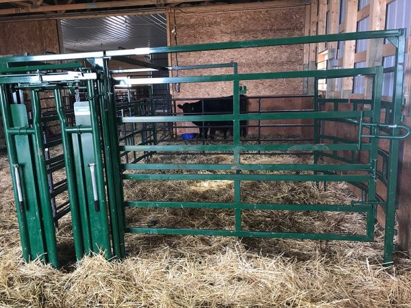 Half Circle Calving Station in Farm