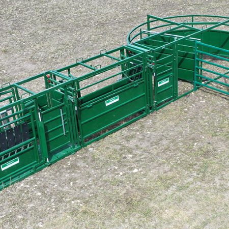 C1000 – Cattle Handling System- Lakeland