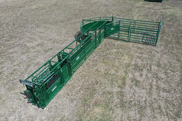 C2000 – Cattle Handling System- Side View