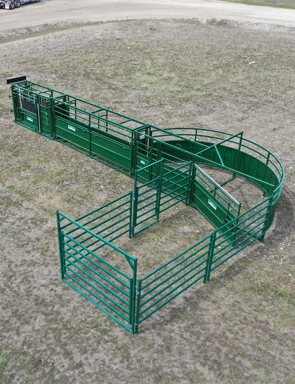 C2000 – Cattle Handling System in Green- Lakeland