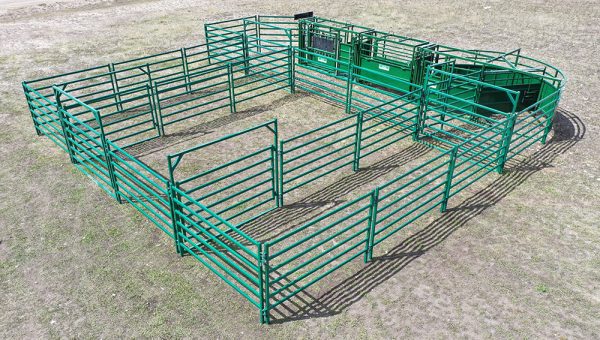 C3000 – Cattle Handling System- Side View
