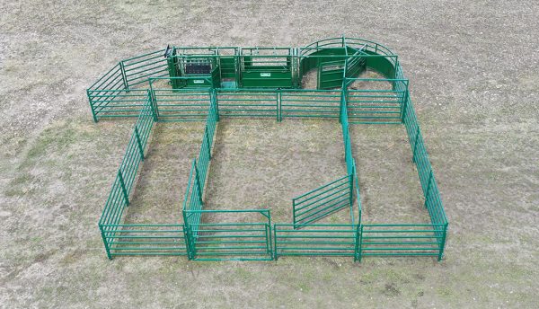 C3000 – Cattle Handling System in Farm