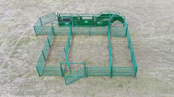LK- C3000 – Cattle Handling System