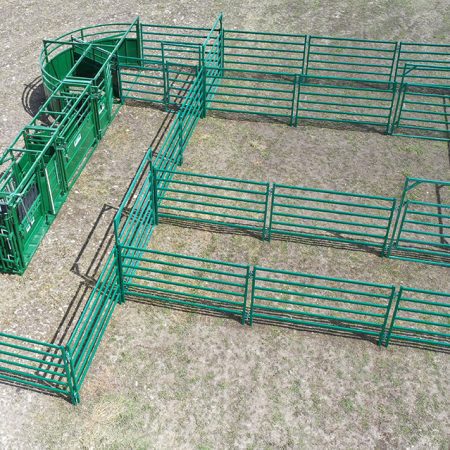 C3000 – Cattle Handling System
