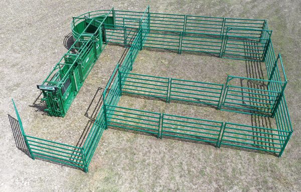 C3000 – Cattle Handling System