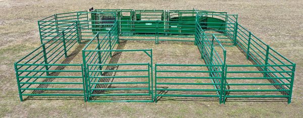 C3000 – Cattle Handling System in Field- Lakeland