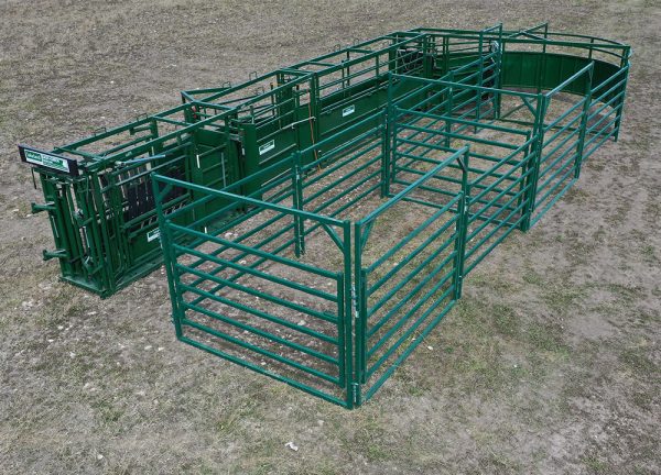 C4000 – Cattle Handling System- Front View