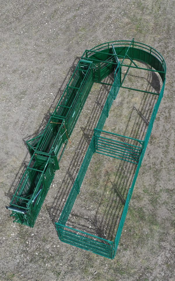 C4000 – Cattle Handling System- lakeland