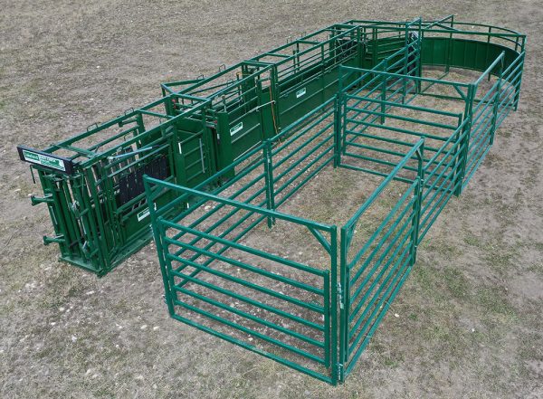 C4000 – Cattle Handling System