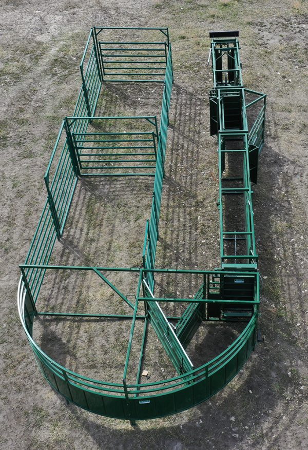 Cattle Handling System- C4000- Lakeland