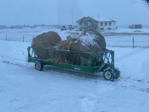 Cattleman's Choice Feeder Wagon- Lakeland