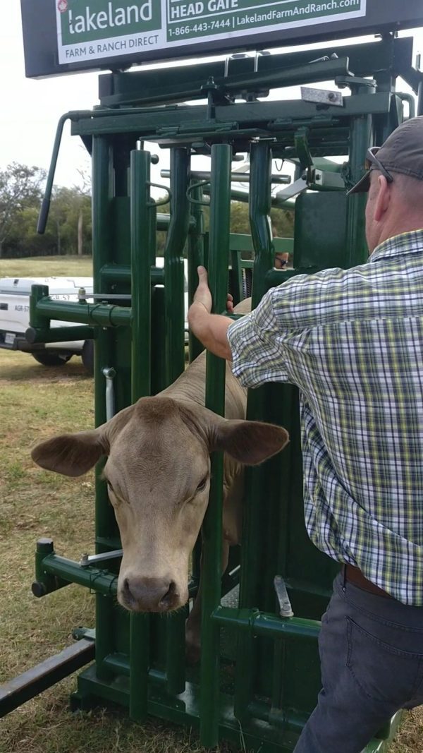 Lakeland- Optional Headgate Assist Handle (for Easy Catch Squeeze or Calving Pen)