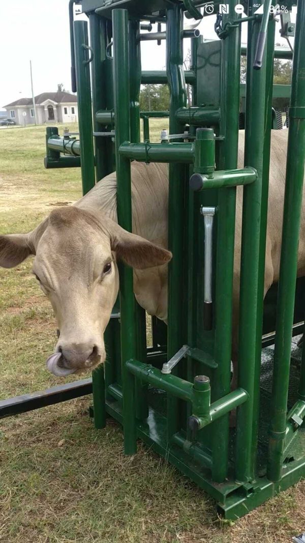 Optional Headgate Assist Handle (for Easy Catch Squeeze or Calving Pen)- Front View