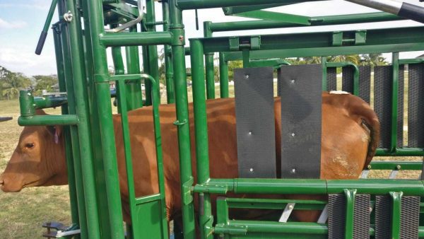 Optional Headgate Assist Handle (for Easy Catch Squeeze or Calving Pen)- Cattle inside