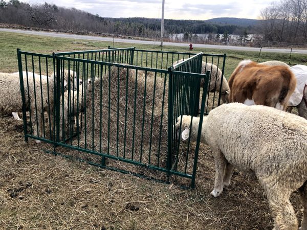 Collapsible Sheep & Goat Feeder - 3" spacing Lakeland