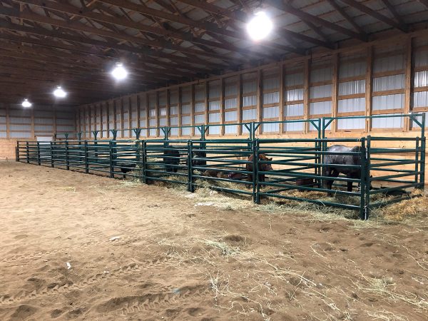10ft Powder Coated Bowgate in farm by Lakeland