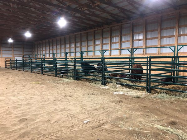 Lakeland- 10ft Powder Coated Bowgate in farm