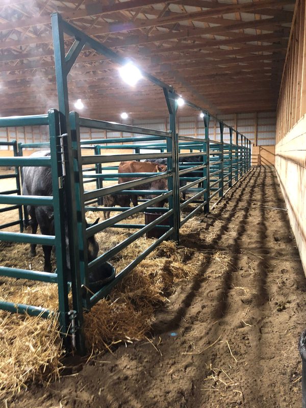 LK- 10ft Powder Coated Bowgate in farm