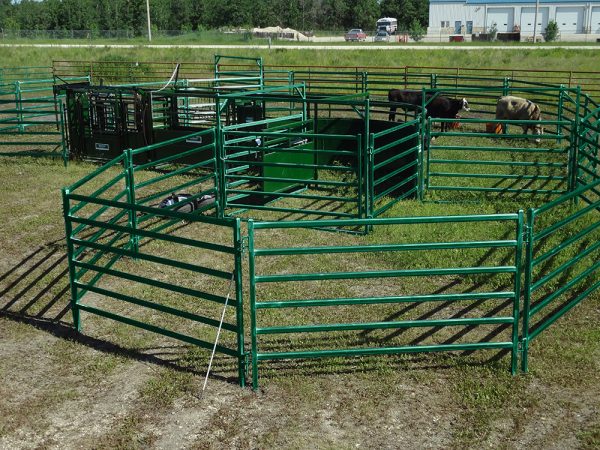 12ft Powder Coated Bowgate (Gate in Frame) - Image 10