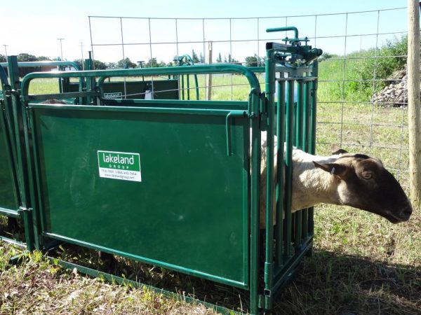 Self Catch Headgate and Chute- Lakelandandfarm