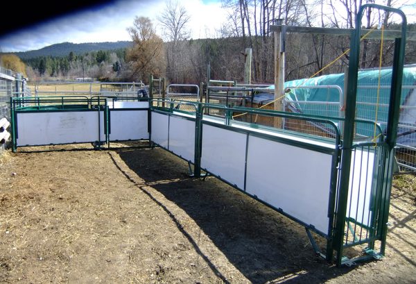 Working Chute and Crowding Tub- Lakeland