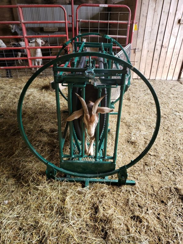 Deluxe Spin Trim Chute for goat LK