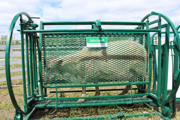 Deluxe Spin Trim Chute for Sheep