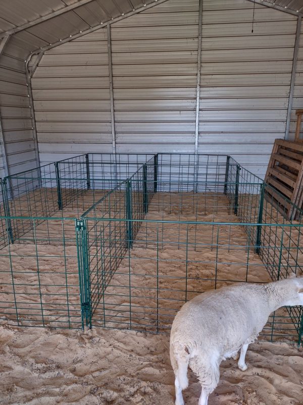 LK- Economy Lambing & Kidding Pen Panels