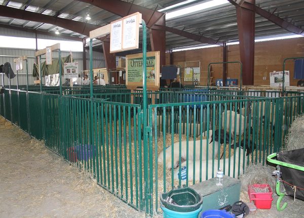 Lakeland- Heavy Duty Spindle Penning Panel with Man Door