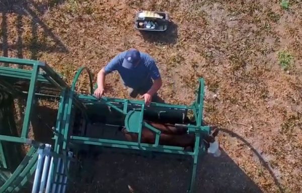Calf Tip Table- upper view