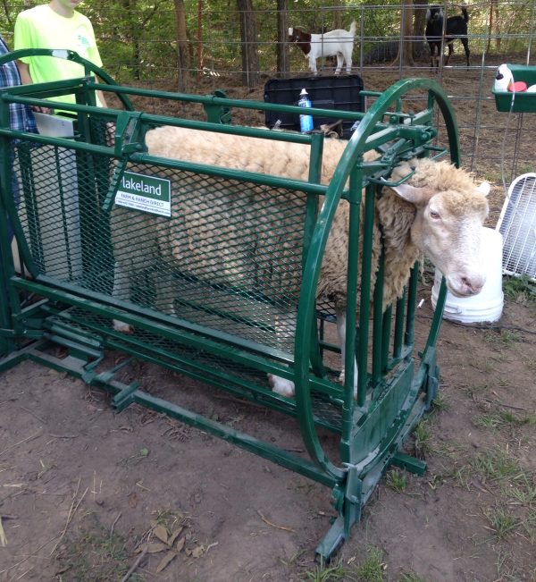 Deluxe Spin Trim Chute with sheep- Lakeland