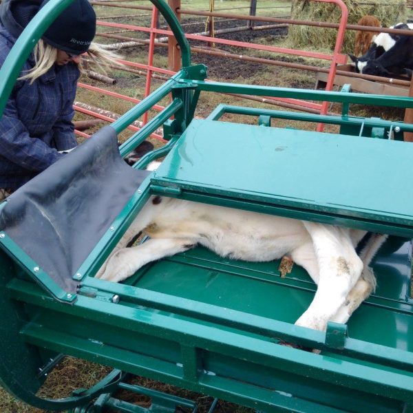 Calf Tip Table in green color- upper View