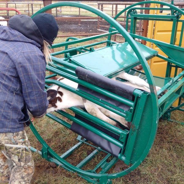 Calf Tip Table in green color- Side View