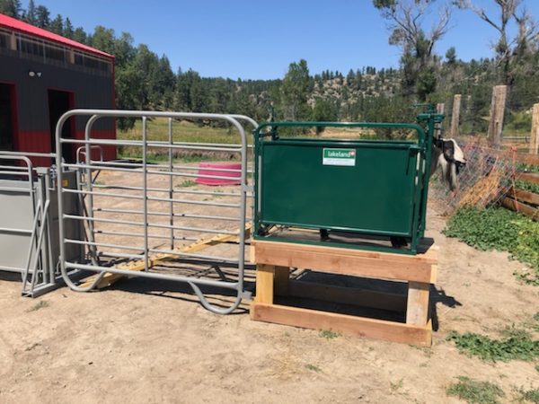 Self Catch Headgate and Chute by lakeland